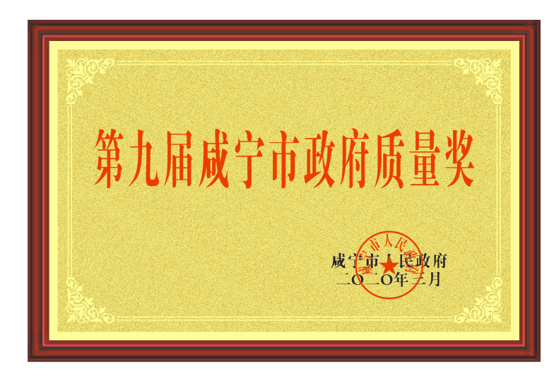 018 第九屆鹹寧市政府質量獎證書（shū）.png